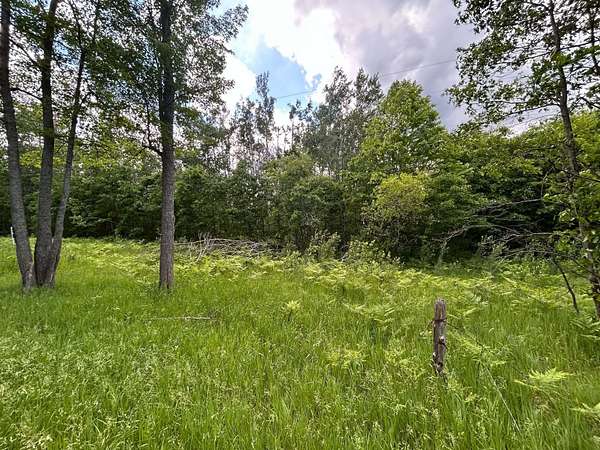 10 Acres of Land for Sale in Comins, Michigan