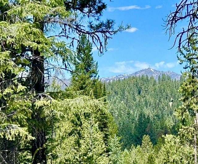 1.78 Acres of Residential Land for Sale in Cascade, Idaho