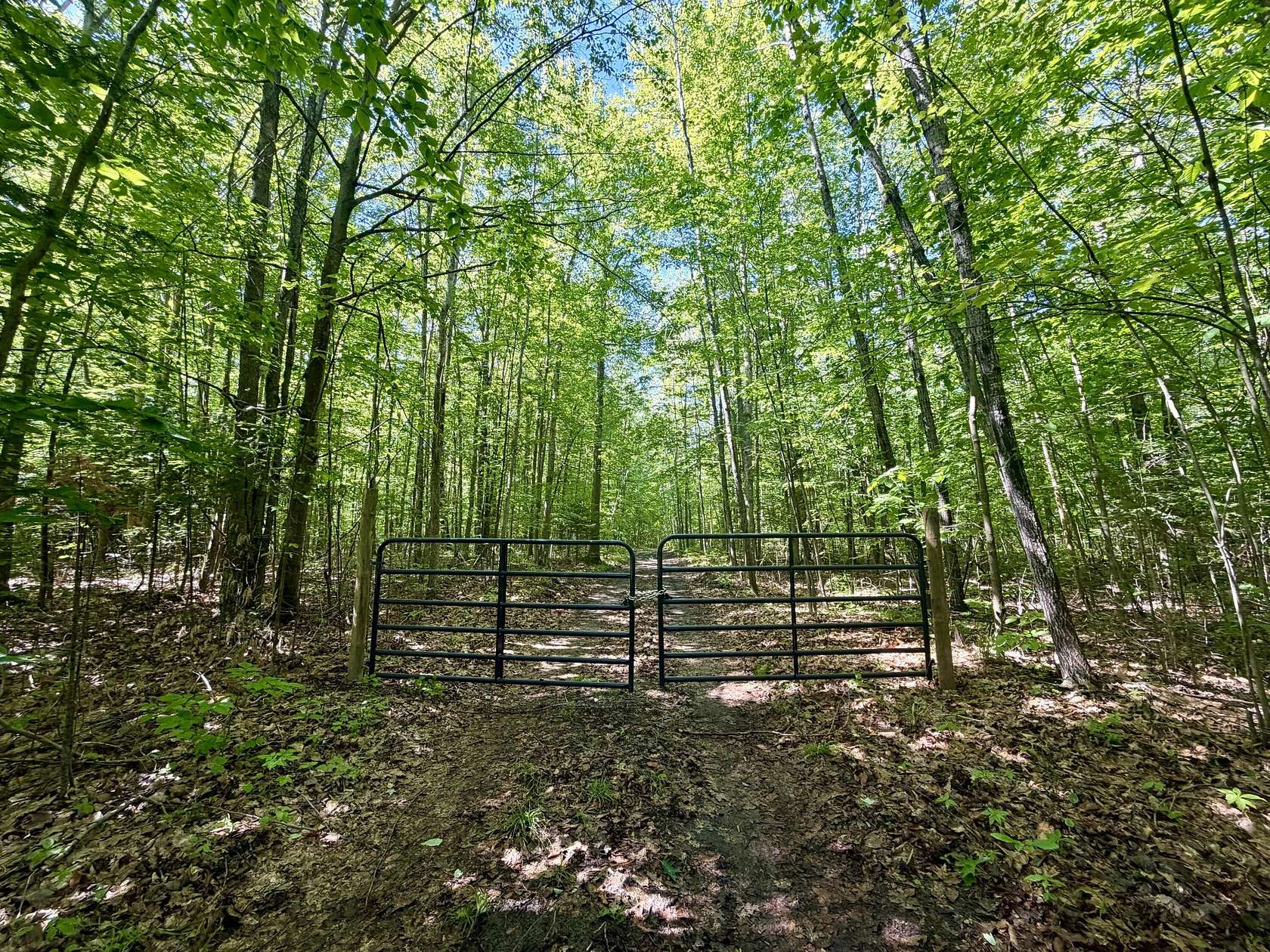 10 Acres of Recreational Land for Sale in Glennie, Michigan