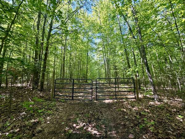 10 Acres of Recreational Land for Sale in Glennie, Michigan