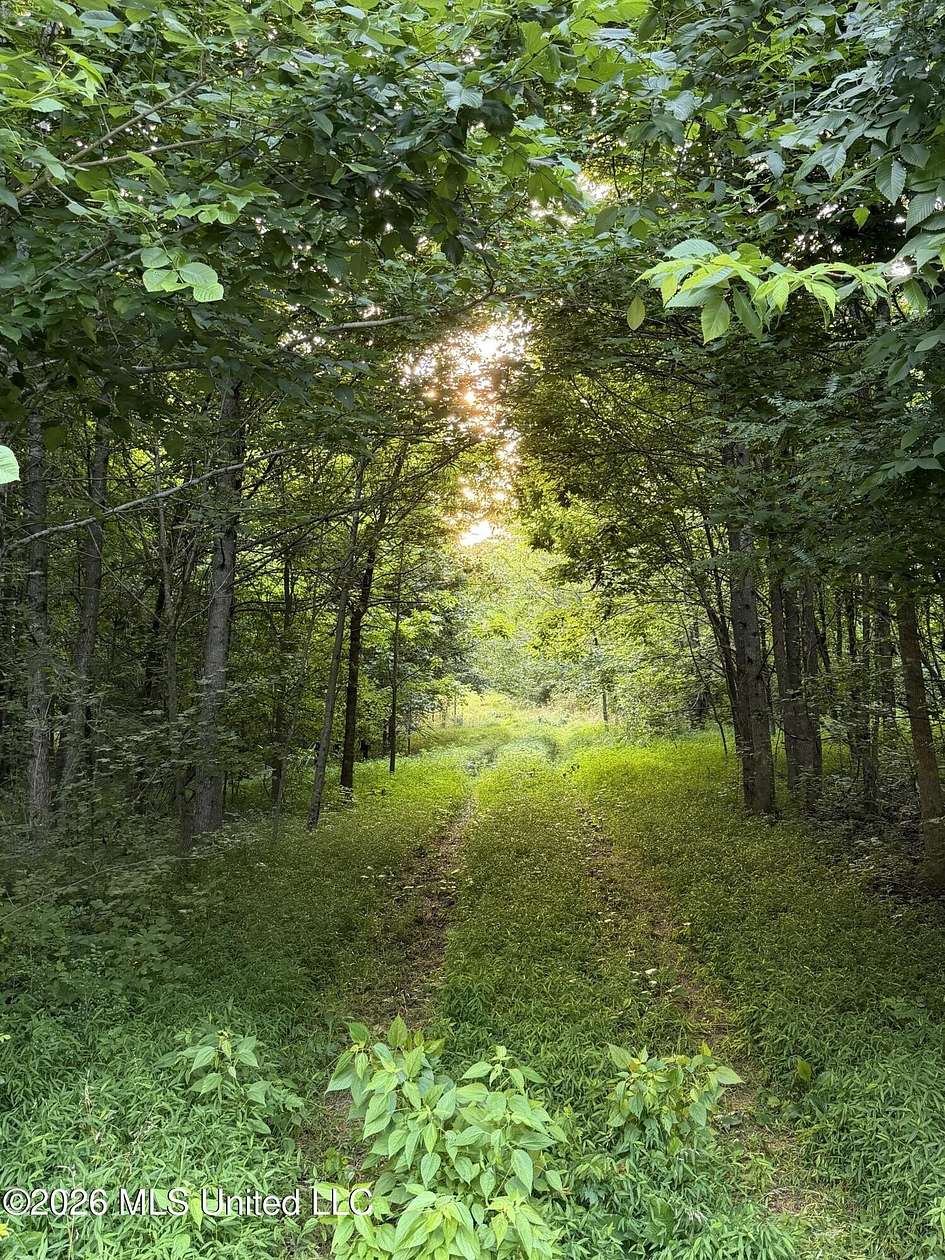 10 Acres of Residential Land for Sale in Lake Cormorant, Mississippi