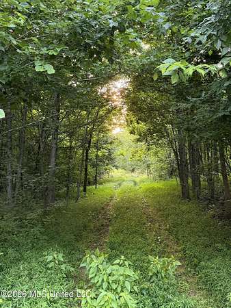 10 Acres of Residential Land for Sale in Lake Cormorant, Mississippi
