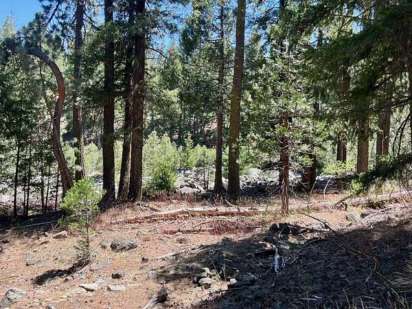 0.34 Acres of Residential Land for Sale in Graeagle, California