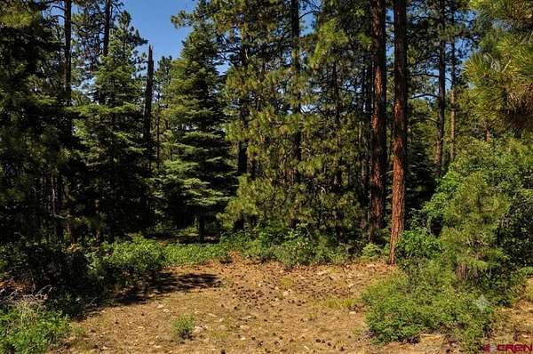 5.14 Acres of Land for Sale in Bayfield, Colorado