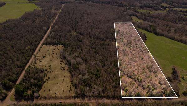 10 Acres of Recreational & Residential Land for Sale in Pelkie, Michigan