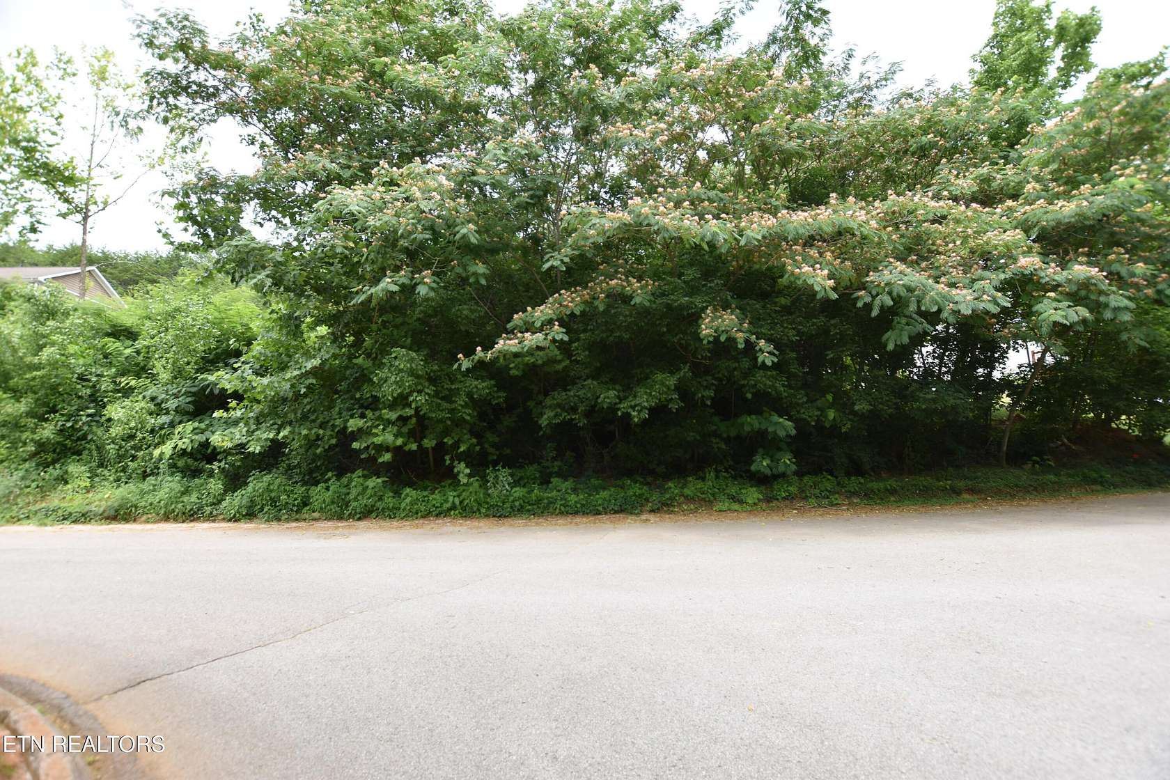 0.27 Acres of Residential Land for Sale in Knoxville, Tennessee