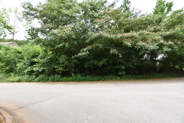 0.27 Acres of Residential Land for Sale in Knoxville, Tennessee