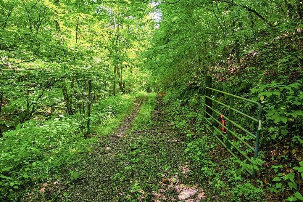 27.3 Acres of Land for Sale in Marion, Virginia