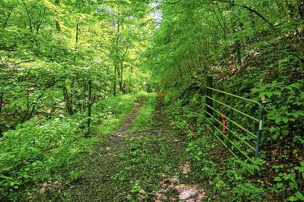 27.3 Acres of Land for Sale in Marion, Virginia