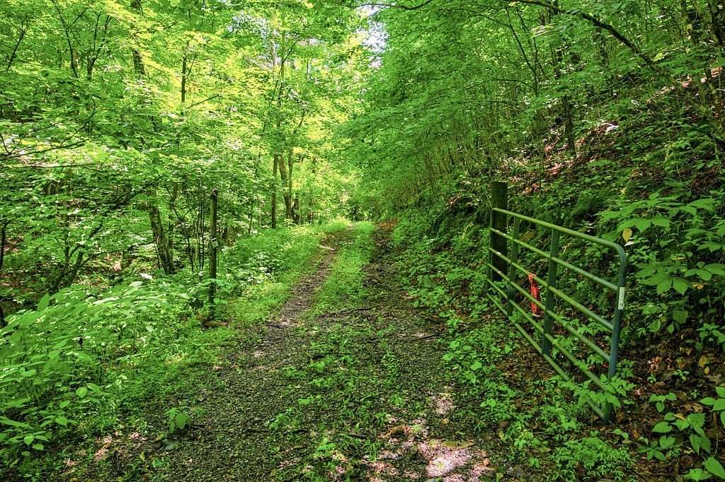 64.5 Acres of Land for Sale in Marion, Virginia
