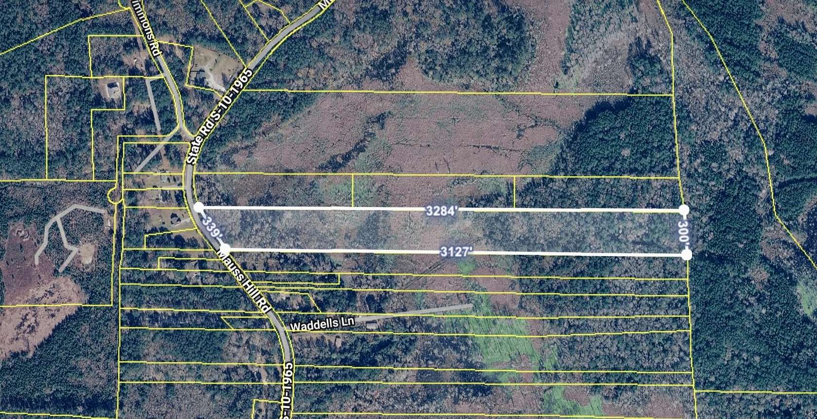 21.3 Acres of Land for Sale in Adams Run, South Carolina
