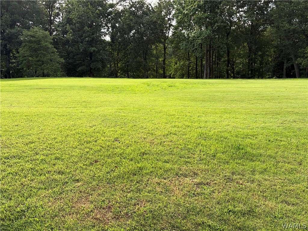 0.88 Acres of Residential Land for Sale in Tuscaloosa, Alabama