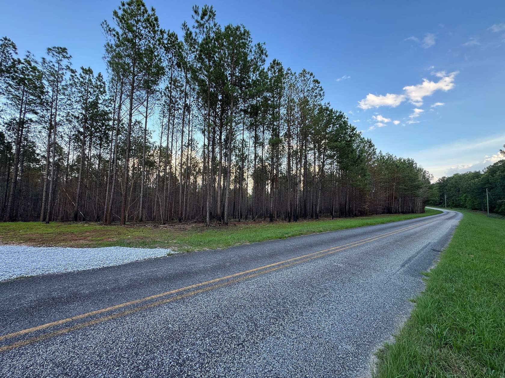16 Acres of Recreational & Residential Land for Sale in Dadeville, Alabama