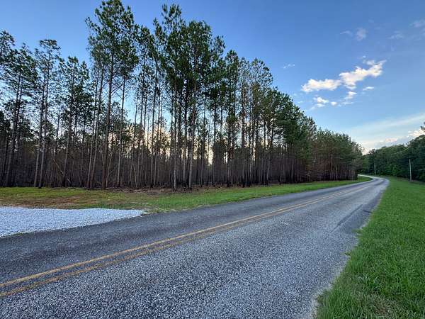 16 Acres of Recreational & Residential Land for Sale in Dadeville, Alabama