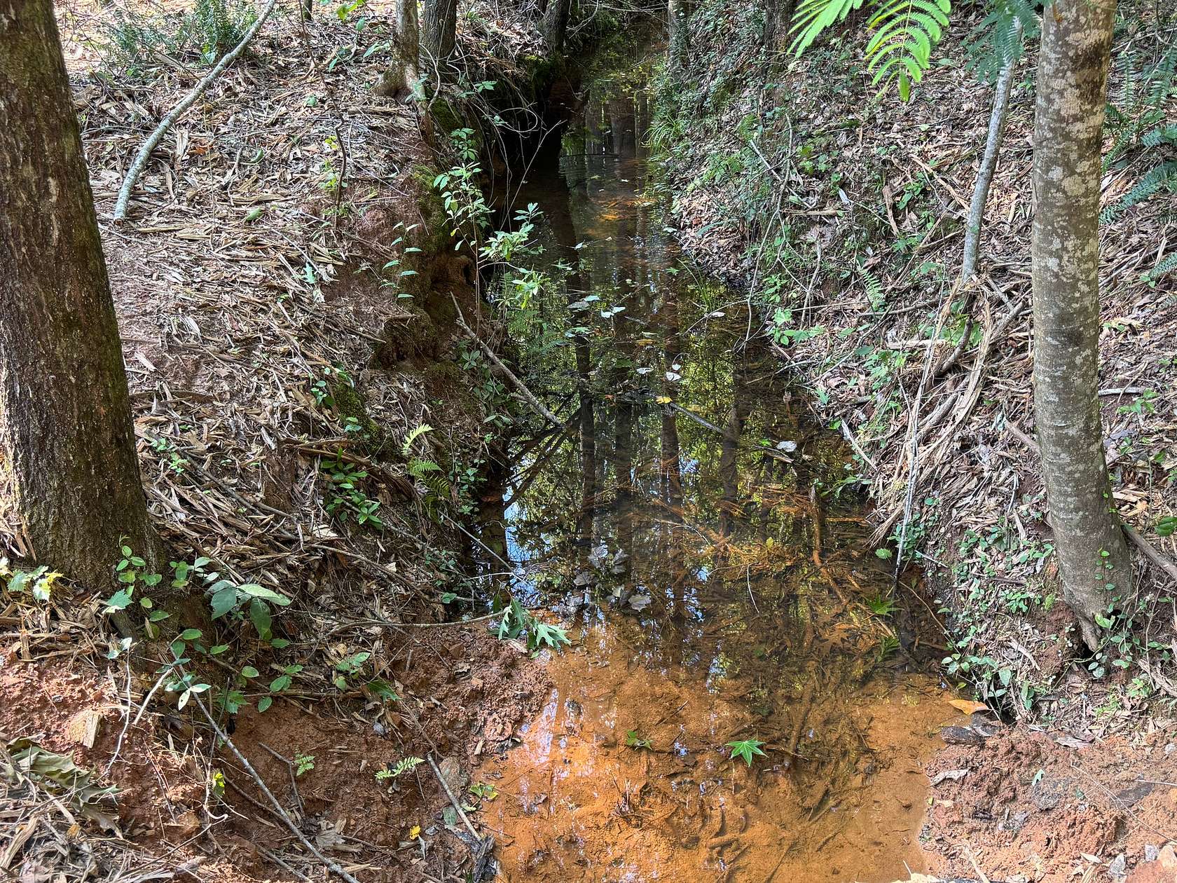 32.2 Acres of Recreational & Residential Land for Sale in Dadeville, Alabama