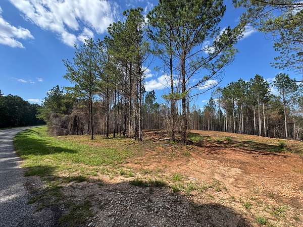 32.2 Acres of Recreational & Residential Land for Sale in Dadeville, Alabama