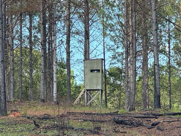43.7 Acres of Recreational & Residential Land for Sale in Dadeville, Alabama