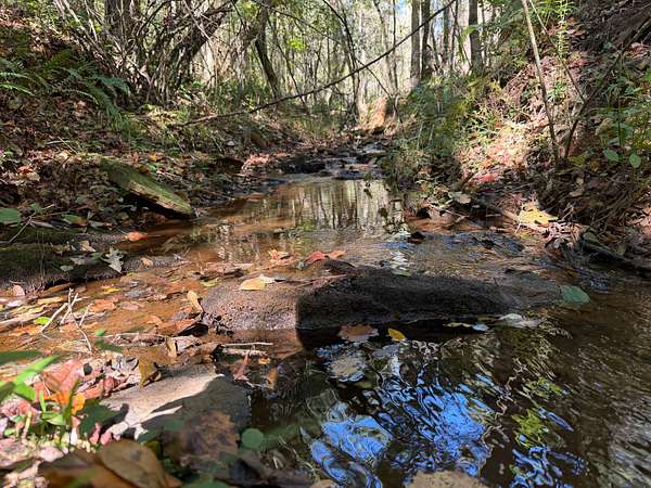 43.7 Acres of Recreational & Residential Land for Sale in Dadeville, Alabama