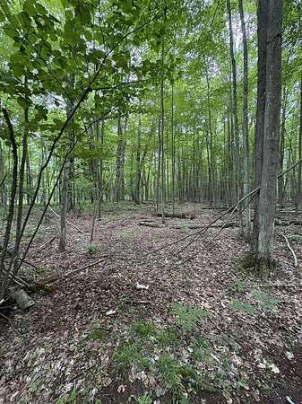40 Acres of Recreational Land for Sale in Beaverton, Michigan