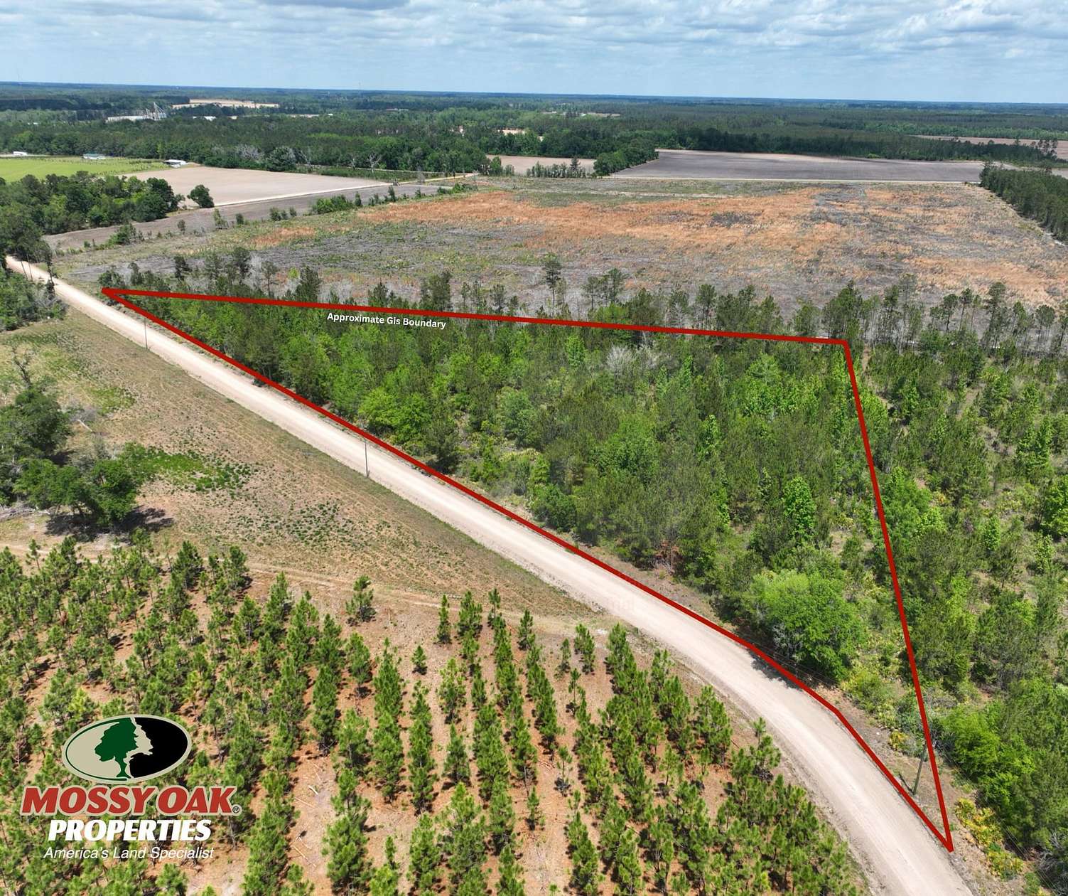 6.34 Acres of Recreational Land for Sale in Surrency, Georgia
