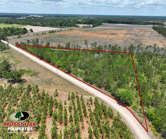 6.34 Acres of Recreational Land for Sale in Surrency, Georgia
