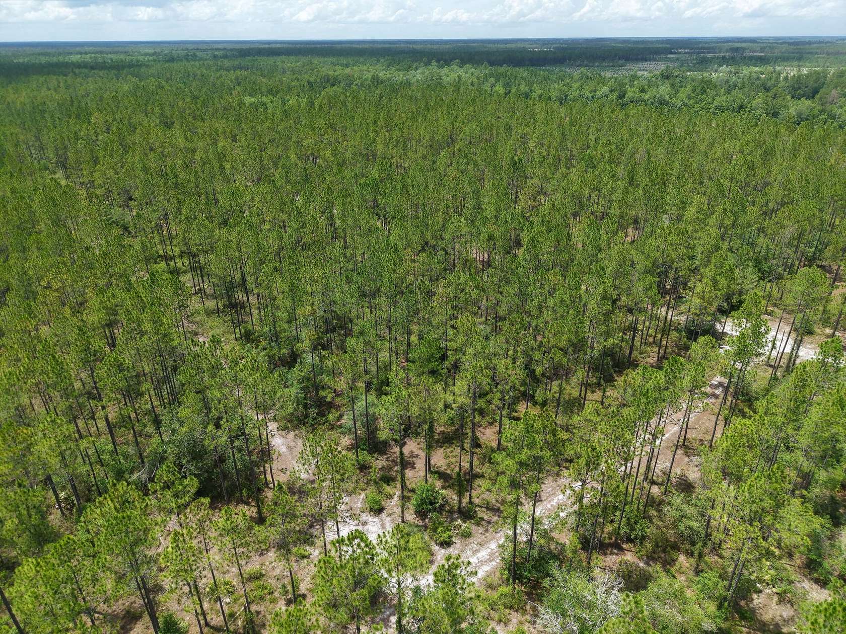 52.4 Acres of Recreational Land for Sale in Saint George, Georgia