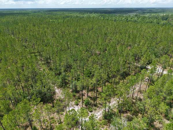 52.4 Acres of Recreational Land for Sale in Saint George, Georgia