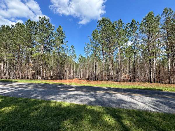58.5 Acres of Recreational & Residential Land for Sale in Dadeville, Alabama