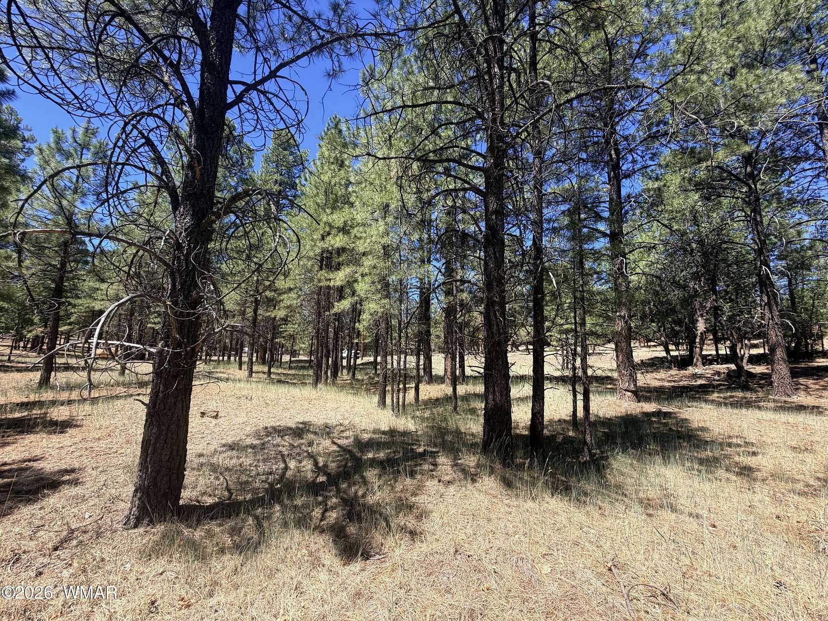 1 Acre of Residential Land for Sale in Happy Jack, Arizona