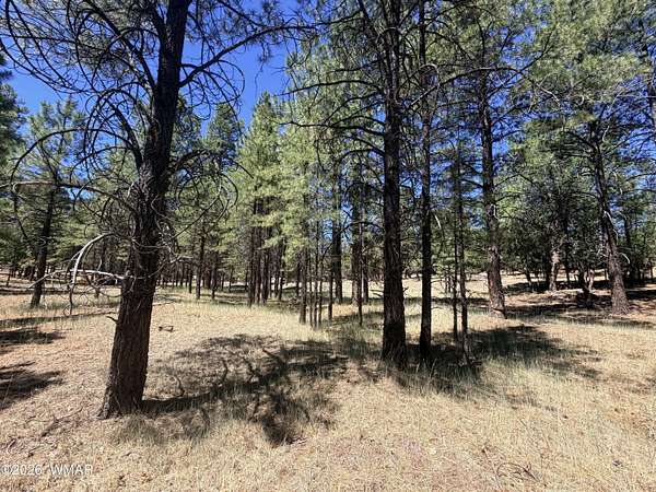 1 Acre of Residential Land for Sale in Happy Jack, Arizona