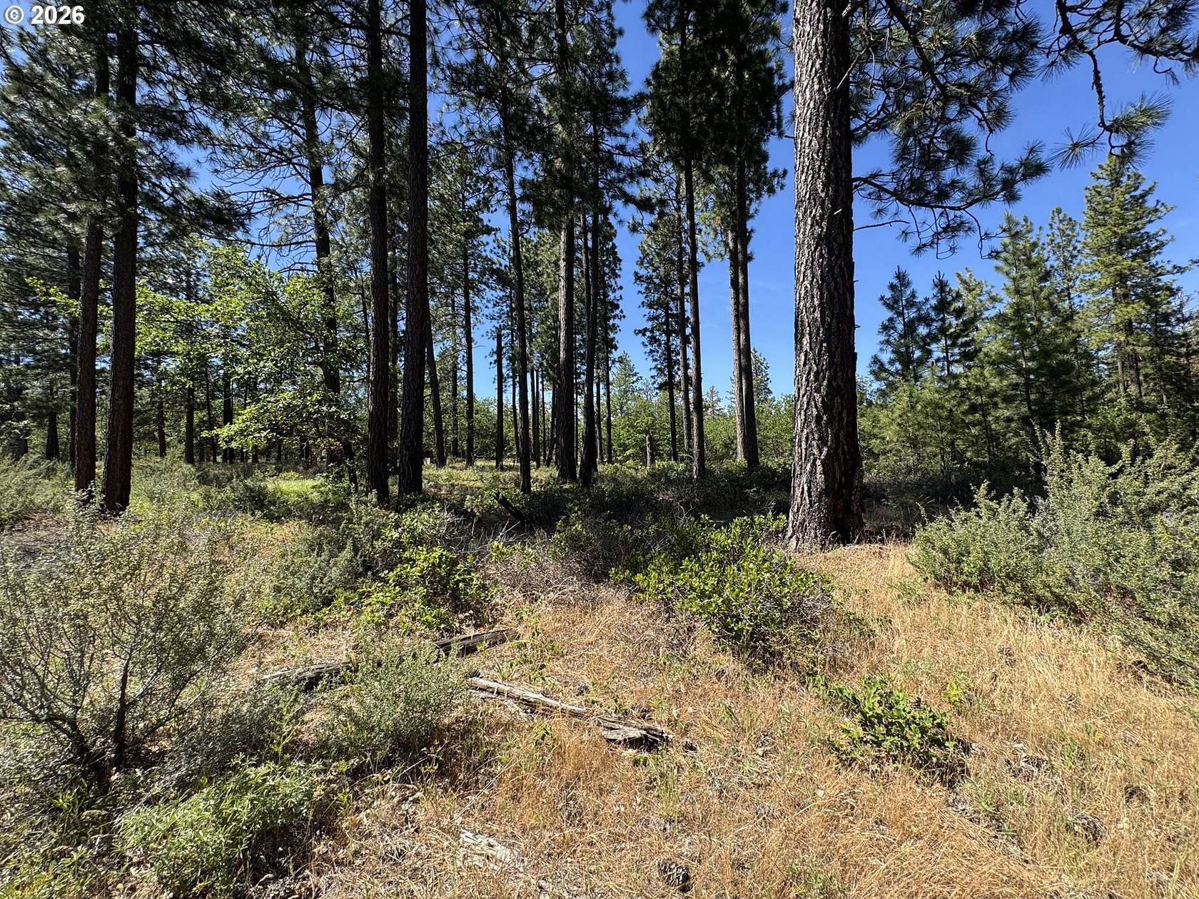 19.7 Acres of Recreational Land for Sale in Roosevelt, Washington
