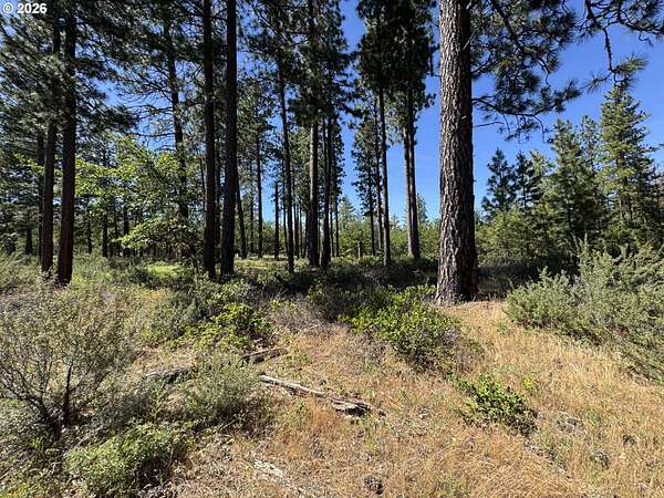 19.7 Acres of Recreational Land for Sale in Roosevelt, Washington