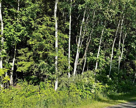 40 Acres of Recreational & Residential Land for Sale in Harrison, Michigan