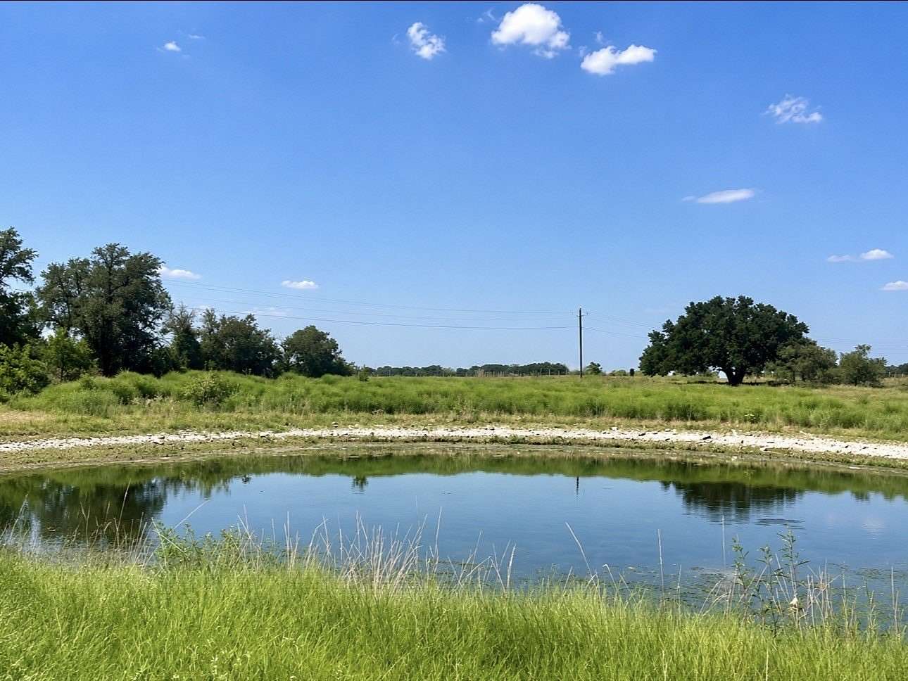 20 Acres of Land for Sale in Priddy, Texas
