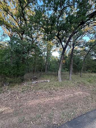 0.14 Acres of Residential Land for Sale in Mabank, Texas