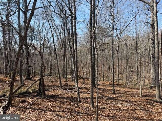 10.2 Acres of Land for Sale in Lignum, Virginia