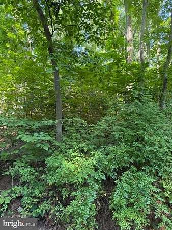 0.29 Acres of Residential Land for Sale in Front Royal, Virginia