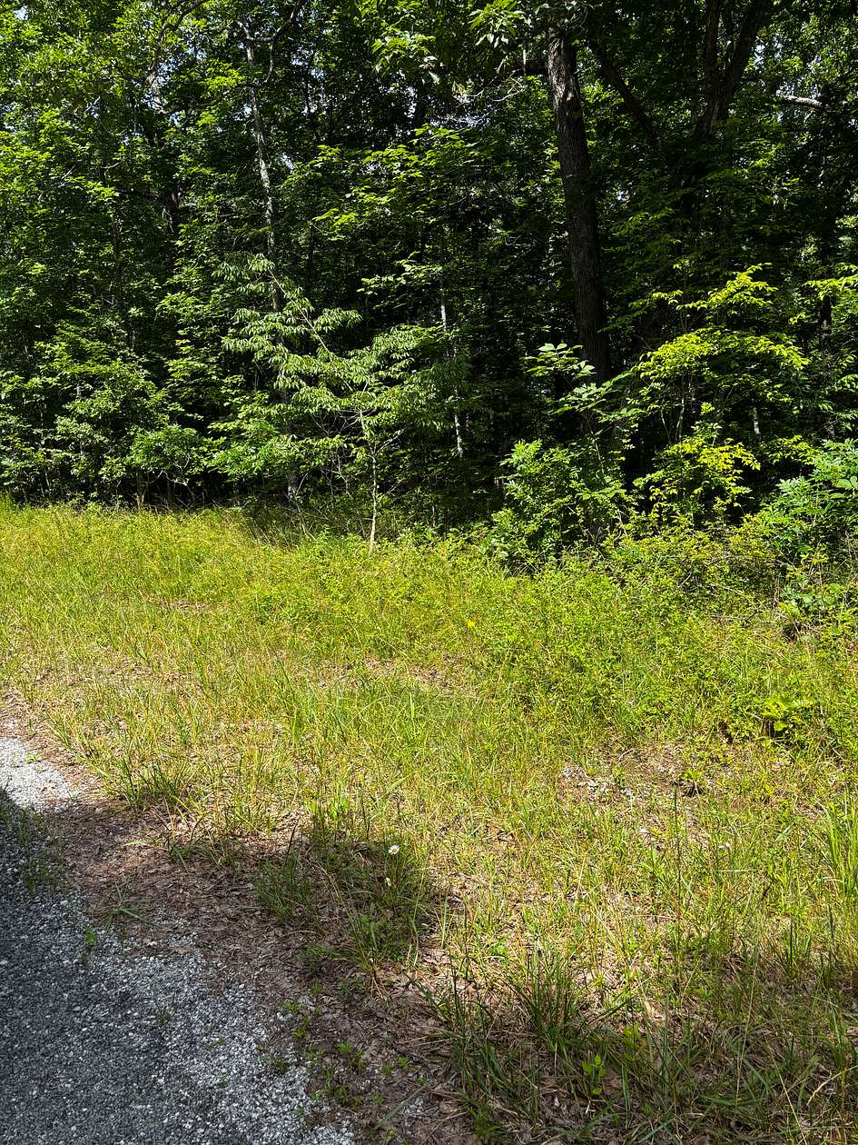 0.25 Acres of Residential Land for Sale in Crossville, Tennessee