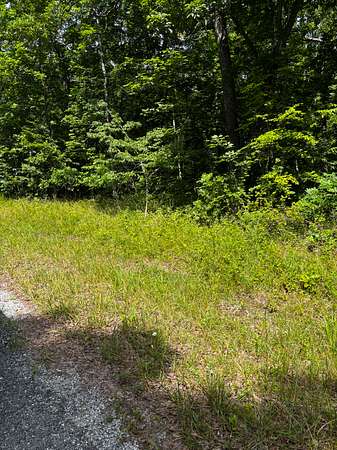 0.25 Acres of Residential Land for Sale in Crossville, Tennessee