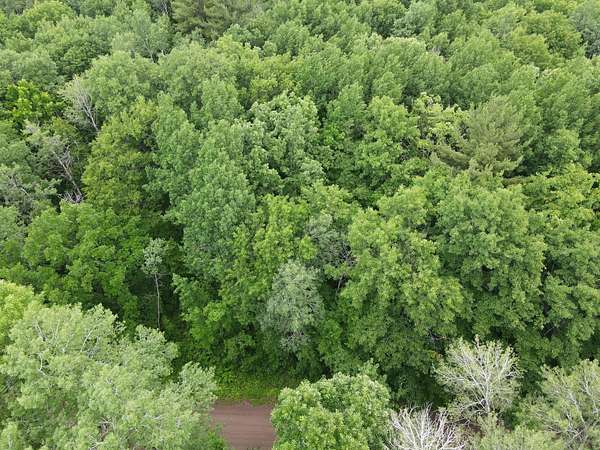 1.2 Acres of Residential Land for Sale in Pine City, Minnesota