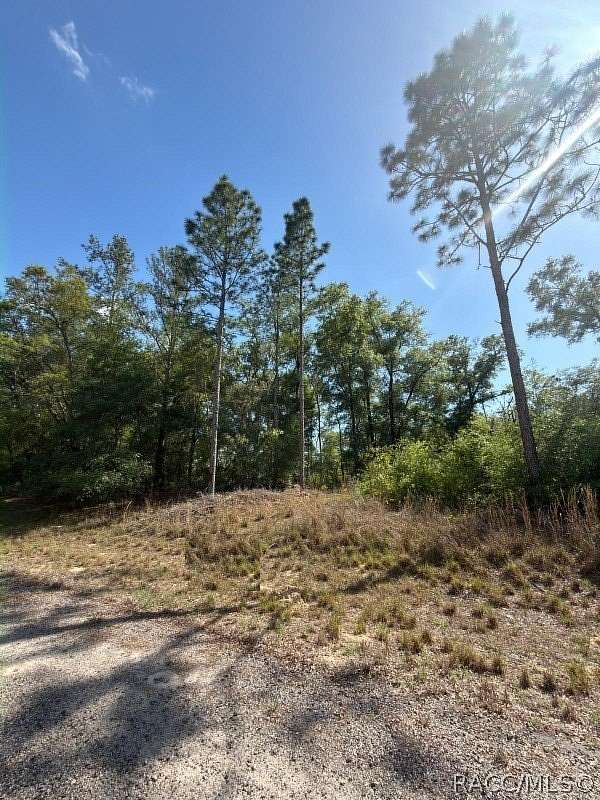 0.23 Acres of Residential Land for Sale in Citrus Springs, Florida