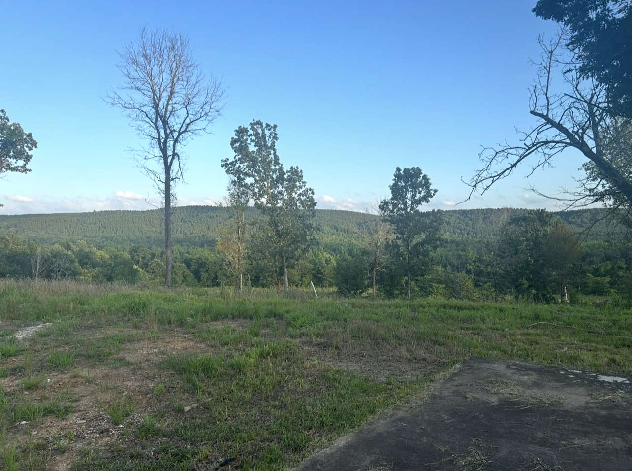 3.6 Acres of Residential Land for Sale in Cleveland, Arkansas