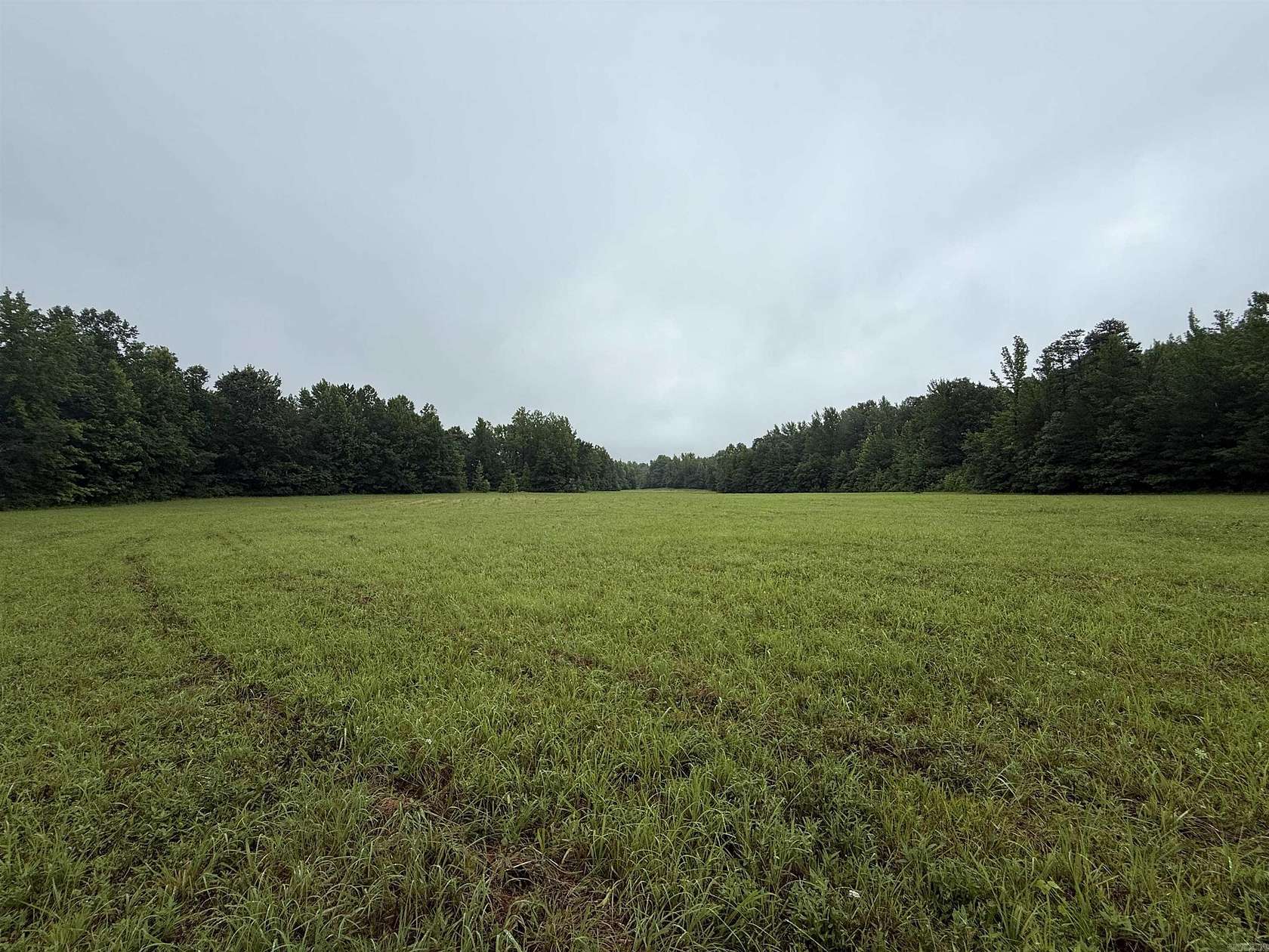 100 Acres of Recreational & Residential Land for Sale in Beech Grove, Arkansas
