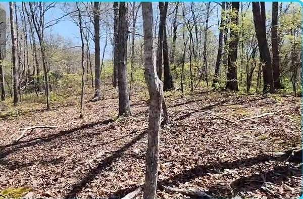 1.85 Acres of Land for Sale in Sugar Tree, Tennessee