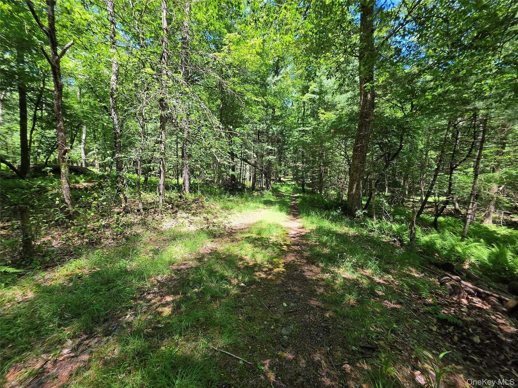 7.8 Acres of Land for Sale in Monticello, New York