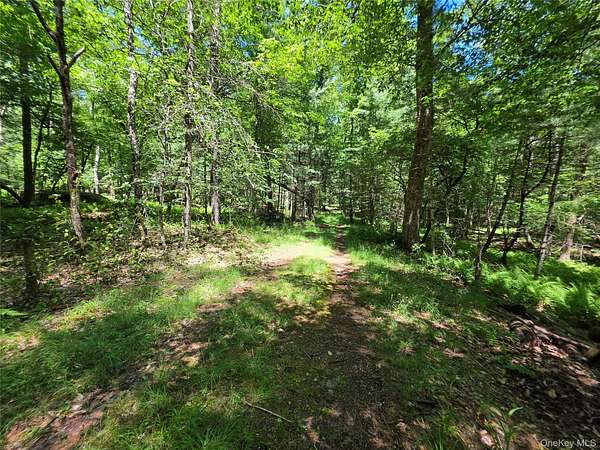 7.8 Acres of Land for Sale in Monticello, New York