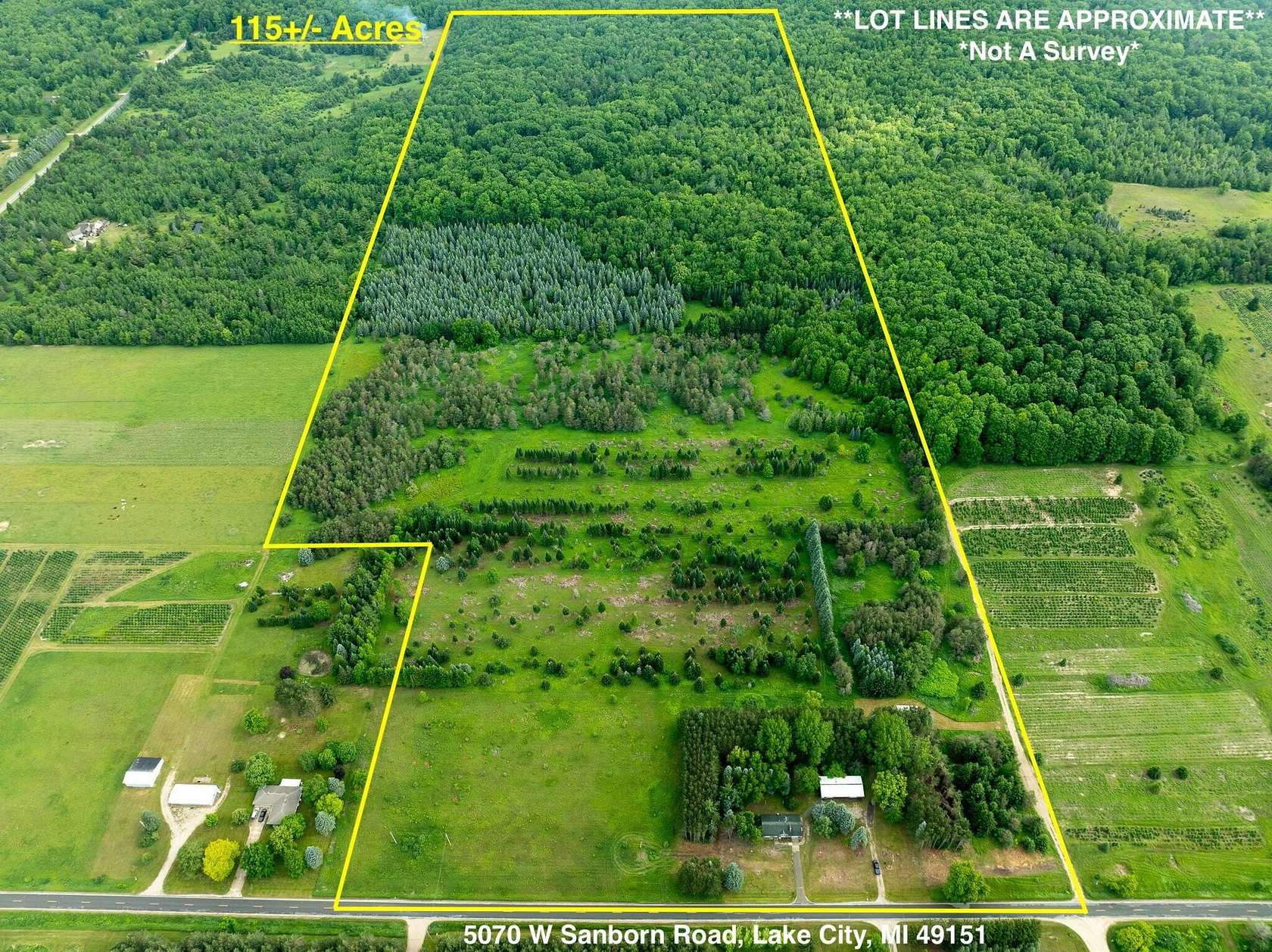 115 Acres of Recreational Land with Home for Sale in Lake City, Michigan