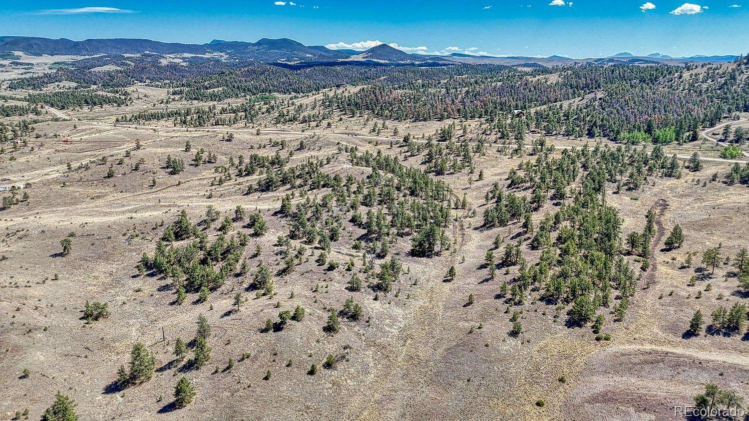 41.8 Acres of Recreational Land for Sale in Hartsel, Colorado