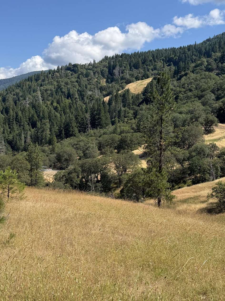 77.2 Acres of Recreational Land for Sale in Mad River, California