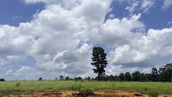5 Acres of Land for Sale in Hillister, Texas